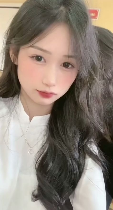 吾栖之肤未删减